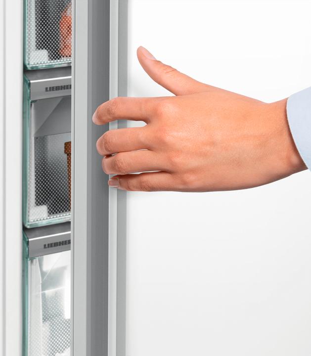 Image du produit Liebherr FNF 4204 Congélateur vertical avec porte réversible (Autonome, 160 l)