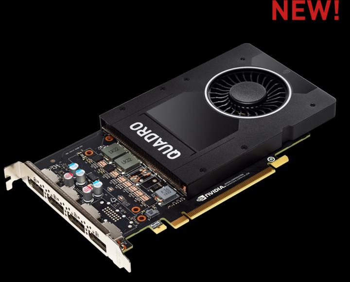 Actual product image PNY Quadro P2200 (5 GB)