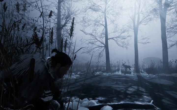 Produktbild THQ Fade to Silence (Xbox One X, Xbox Series X, FR)