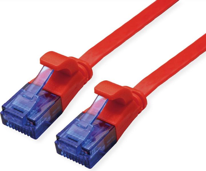 Rot