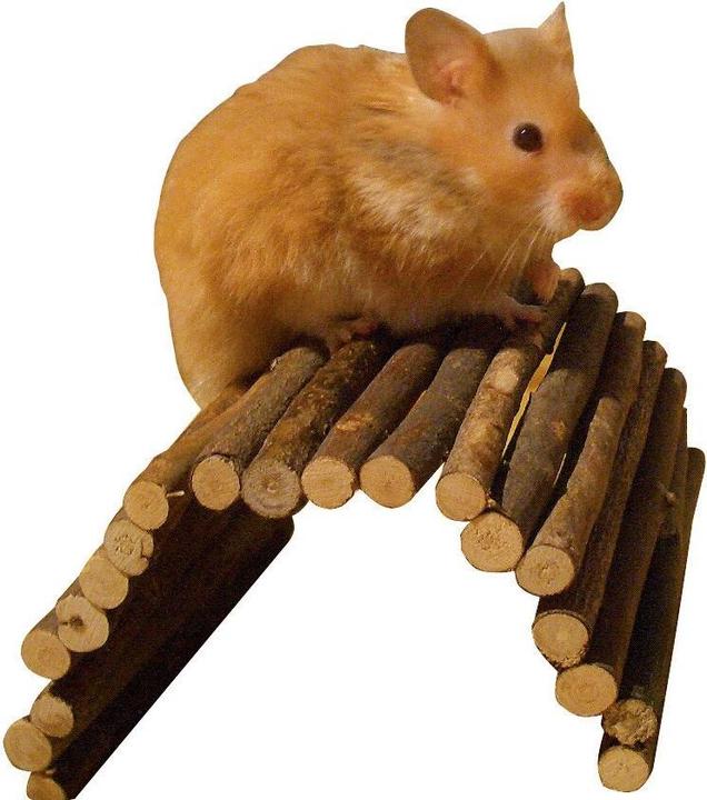 Produktbild Kerbl Holzbrücke
