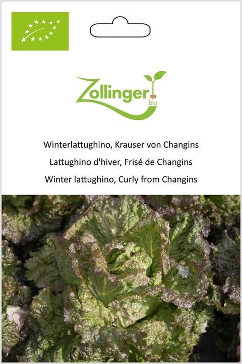 Immagine prodotto Zollinger Bio Winterlattughino, Krauser di Changins (Germogli)