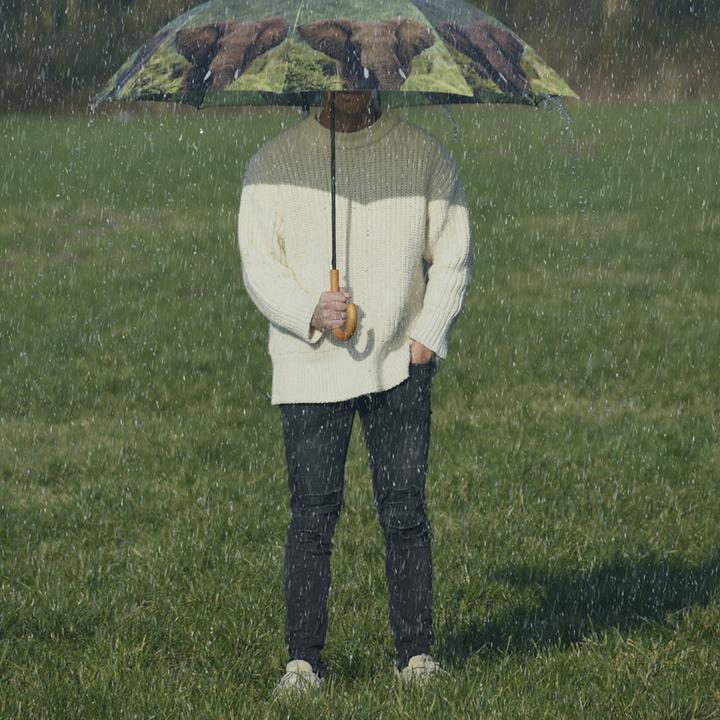 Actual product image Esschert Design Umbrella