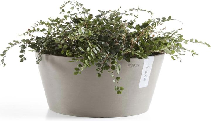 Actual product image Ecopots Frankfurt (40 cm)
