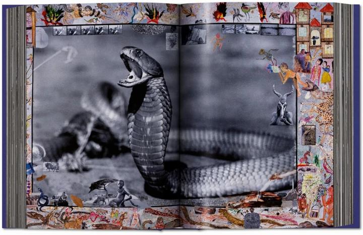 Actual product image Peter Beard (German, English, French, David Fahey, Owen Edwards, Steven M. L. Aronson, Nejma Beard, 2020)