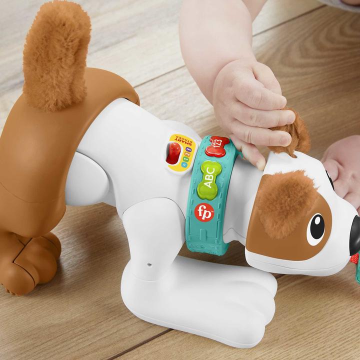 Actual product image Fisher-Price - 123 Crawl With Me Puppy-DU