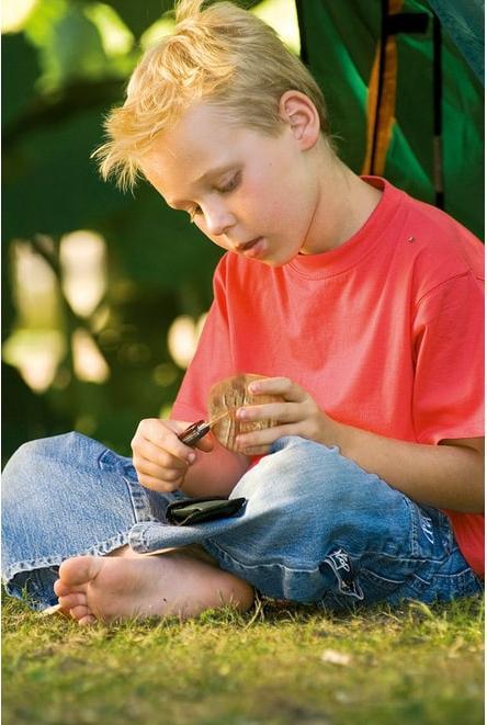 Actual product image Scout Children's pocket knife