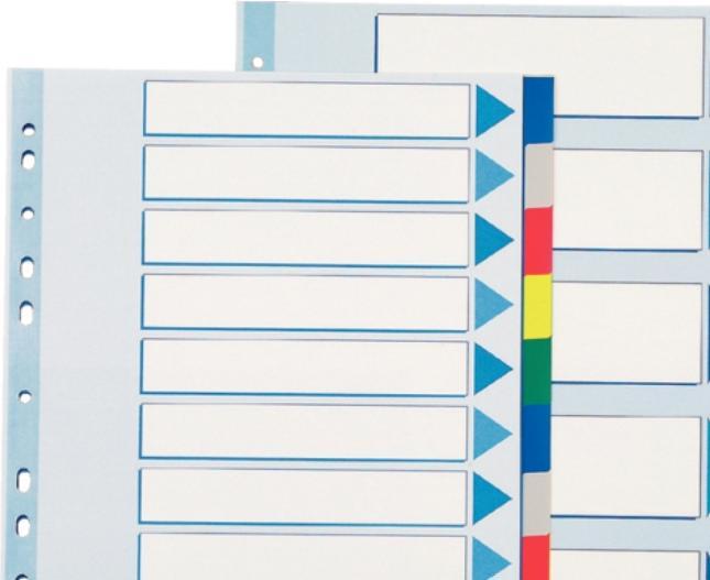 Actual product image Esselte Plastic tabs, A4, 225 mm, 297 mm
