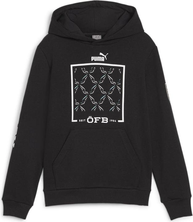 Produktbild Puma ÖFB Ftblicons Hoody Jr (164)