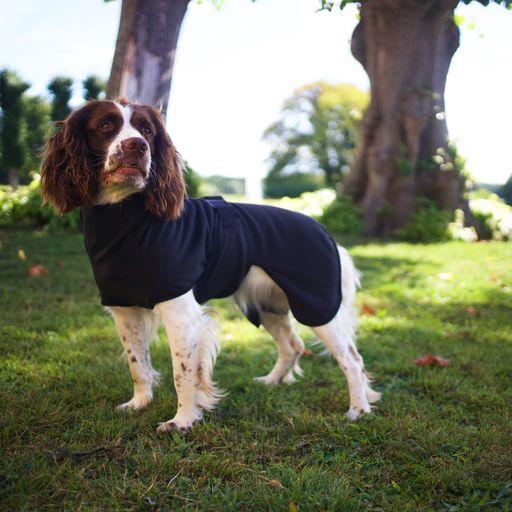Actual product image Siccaro Recovery 40 - (S5001) (Dog coat)