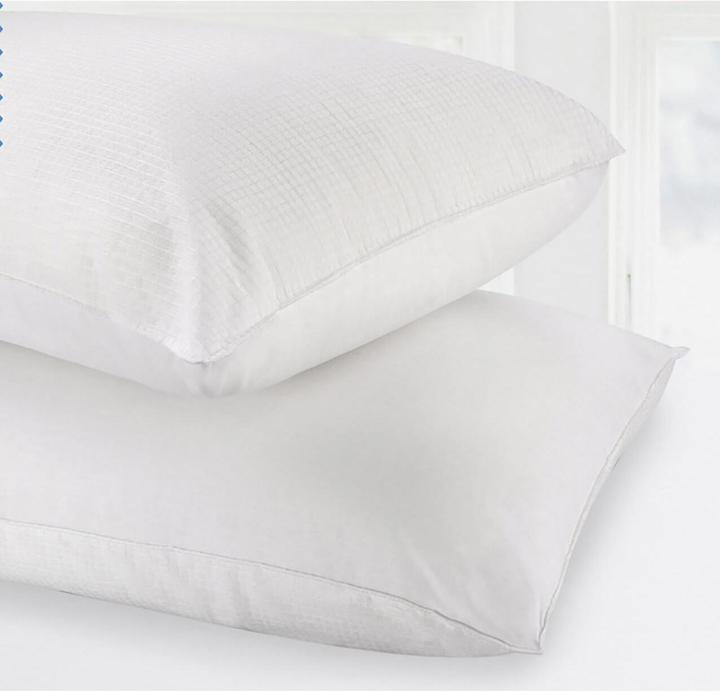 Image du produit Velfont Outlast-Viscofresh (50 x 70 cm)