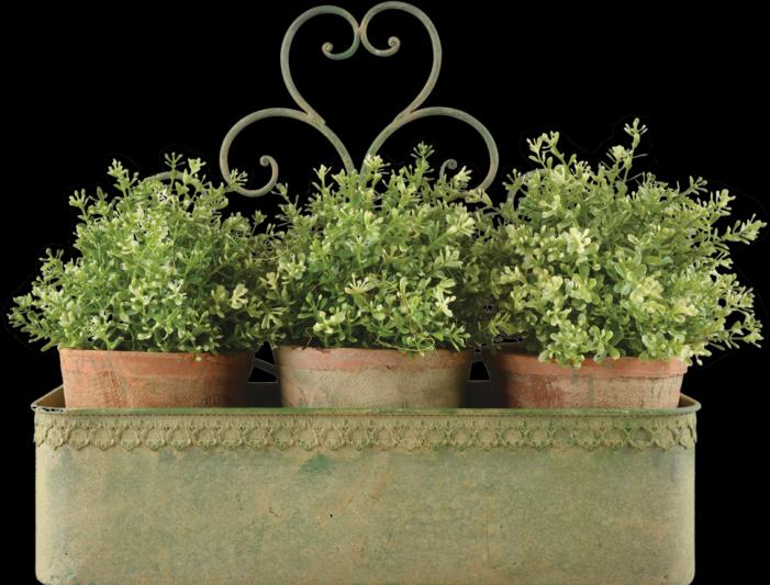 Produktbild Esschert Design Wandpflanzkasten L (43.10 cm)