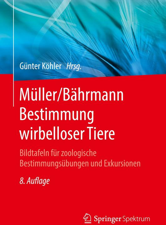 Actual product image Müller/Bährmann Bestimmung wirbelloser Tiere (German, Günter, Coalfish, 2022)