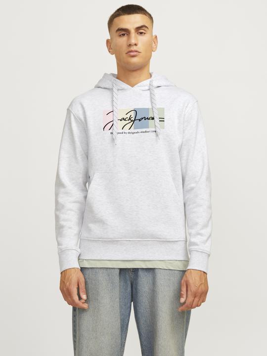 Produktbild Jack & Jones Jorportland Block Sweat Hood Ln (M)