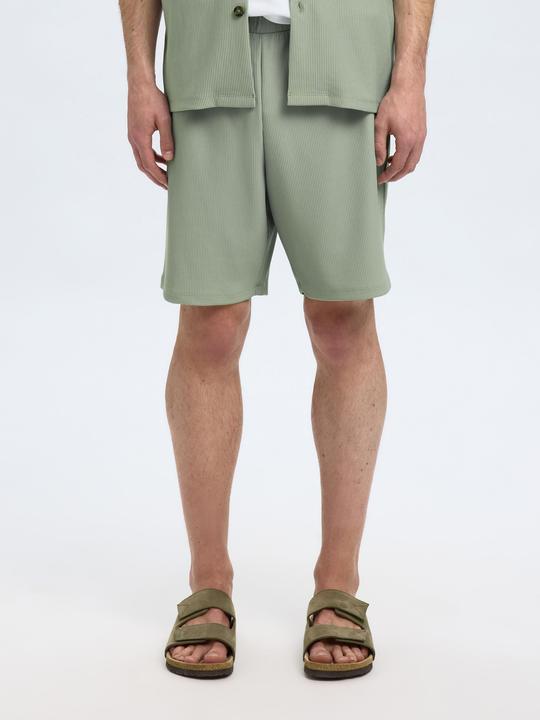 Actual product image Selected Homme Gerippte Shorts (L)