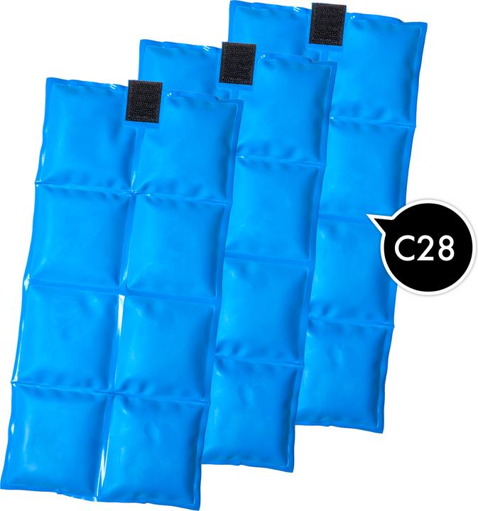 Actual product image Bertschat Kühlweste PRO (20)