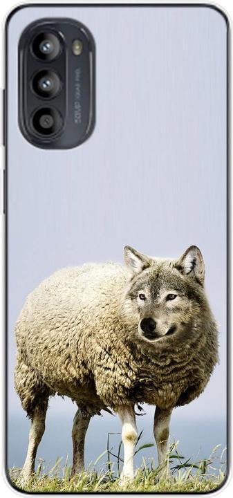 Wolf in sheep's clothing