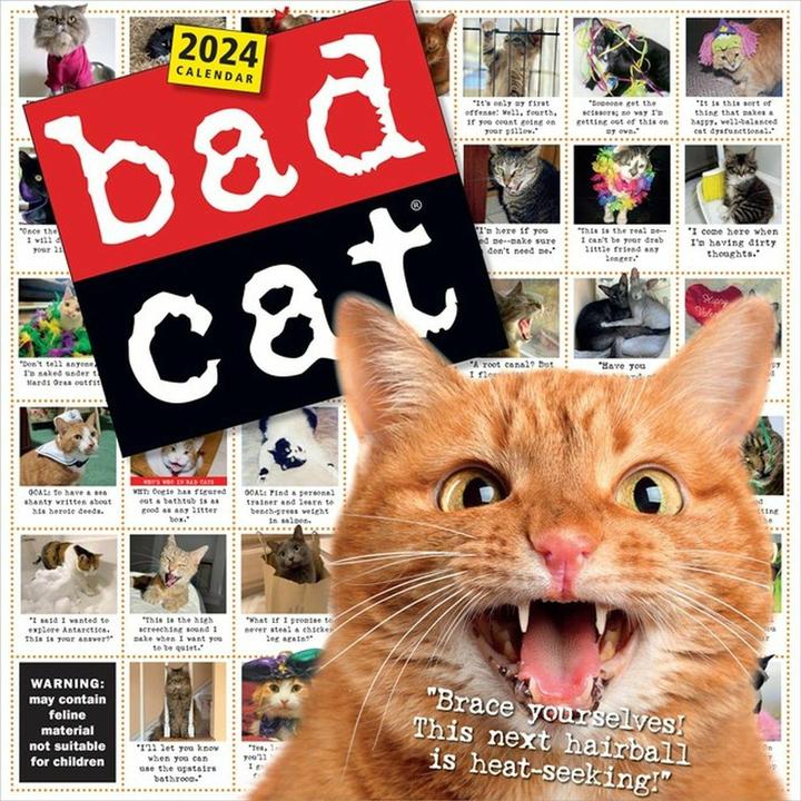 Bad Cat Wall Calendar 2024 (English)