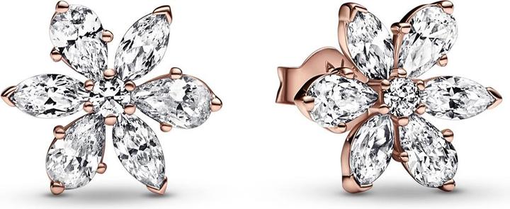 Actual product image Pandora Sparkling Herbarium Cluster Stud Earrings (Sterling silver 925)
