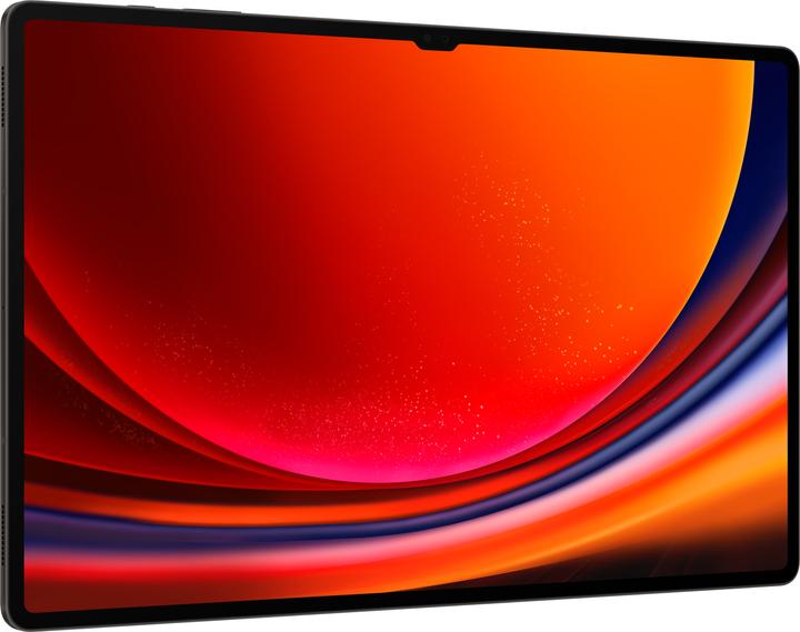 Actual product image Samsung Galaxy Tab S9 Ultra (5G, 14.60", 256 GB, Graphite grey)
