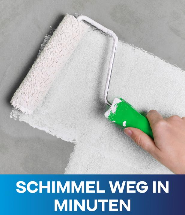 Actual product image Plid Anti-mould paint 5l + painting set, for approx. 30m² / anti-mould paint (White, 5 l)