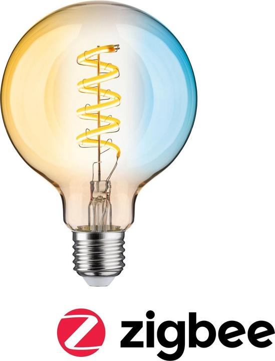 Actual product image Paulmann Globe (E27, 7.50 W, 600 lm, 1 x, G)