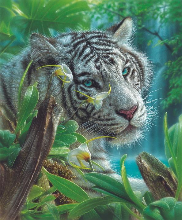 Produktbild Sunsout Puzzle 1000 pieces White Tiger of Eden (1000 Teile)