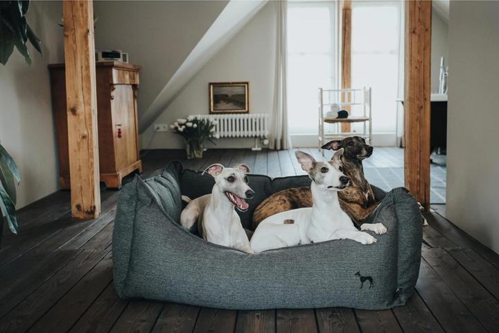 Produktbild Hunter Hundesofa Livingston Webstoff (Hund)