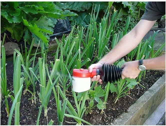 Image du produit Birchmeier Bobby 0,5 (0.50 l)
