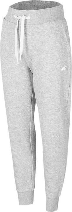 4F Spodnie damskie chłodny jasny szary melanż H4Z22 SPDD351 27M 2XL (27)