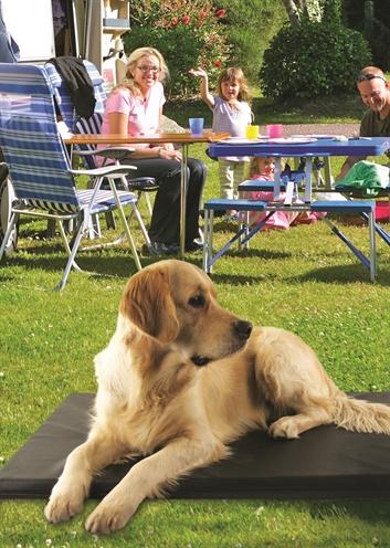 Actual product image Bia Matras Ligbed Zwart (Dog)