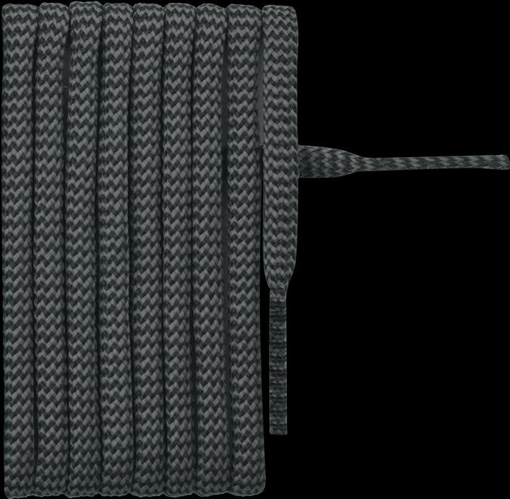 Actual product image Salewa Mtn Trainer Low Shoelace (110 cm)