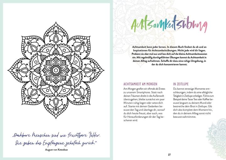 Produktbild Notizbuch Bullet Journal Mandala 21.6 x 15.3 cm (21.6 x 15.3 cm, Blanko, Harter Einband)