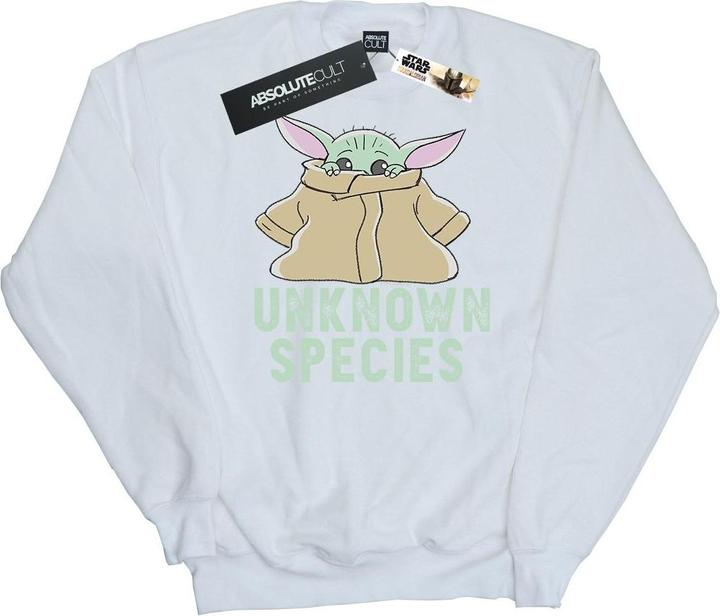 Immagine prodotto Star Wars The Mandalorian Unknown Species Felpa Uomo (S)