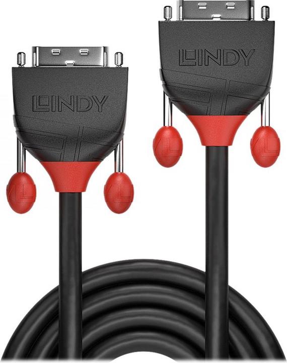 Actual product image Lindy Dvi — Dvi (3 m, DVI)