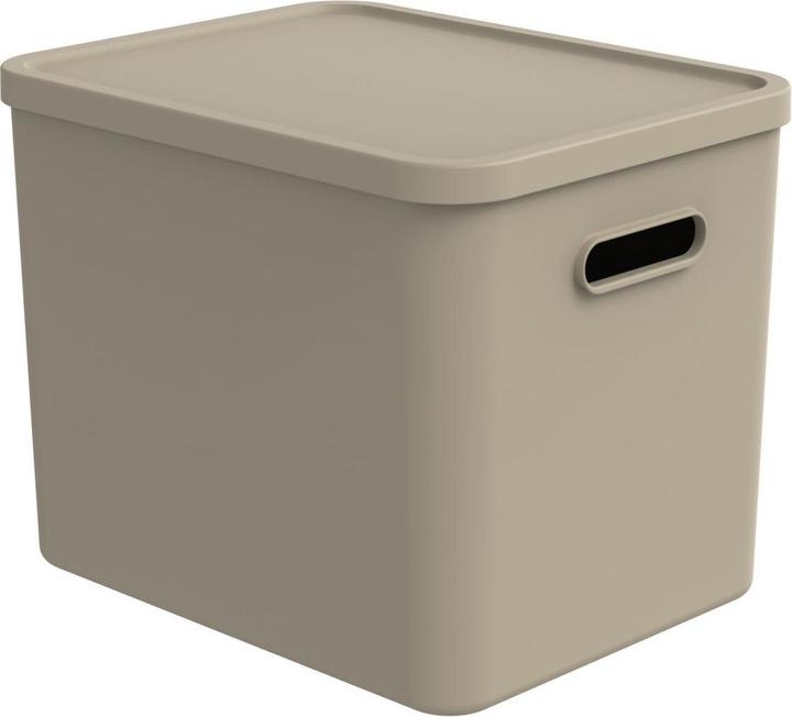 Actual product image Rotho Babydesign Spielzeugbox KAYO L Cappuccino