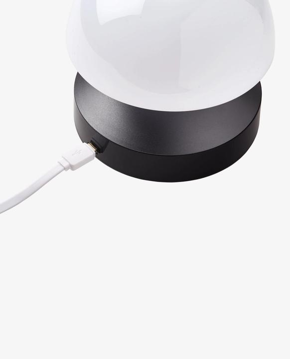 Actual product image Lexon Mina Sunrise