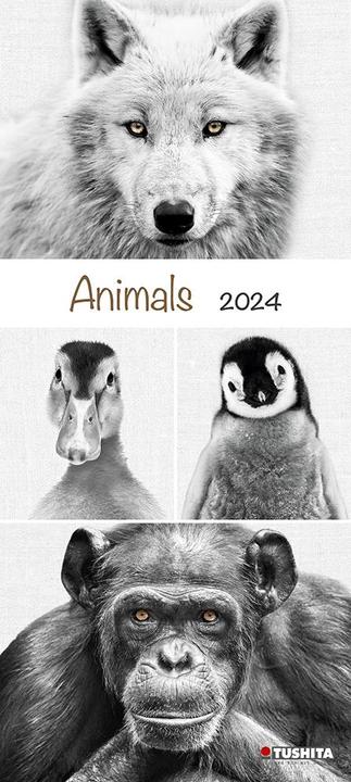 Produktbild Animals 2024 (30 x 30 cm, Harter Einband, Spanisch, Französisch, Italienisch, Polnisch, Englisch, Niederländisch, Tschechisch, Deutsch)