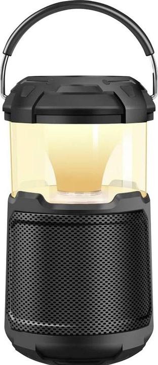 Productafbeelding BT 300 Bluetooth®-luidspreker AUX, Buiten, USB Zwart (10 h, Oplaadbare batterij)