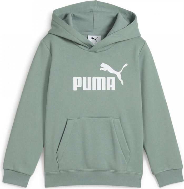 Image du produit Puma Sweat à capuche ESS No. 1 Logo FL PS (98)