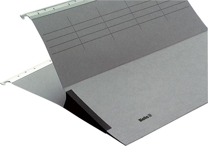 Image du produit Biella ORIGINAL Dossier suspendu avec grenouille (pli latéral) (A4, 1 x)