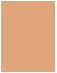 Image du produit Sensai Fond de teint lumineux Sheer (#LS202 Ochre Beige)
