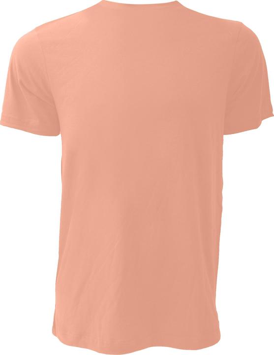Actual product image Bella Canvas Canvas jersey T-shirt short sleeve (L)