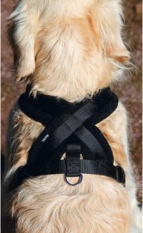 Produktbild Karlie Art Sportiv Plus Geschirr Cross (90, Hund, Spazieren)