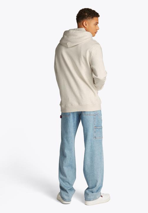 Actual product image Tommy Jeans Tjm Reg Linear Logo Hoodie Ext (S)