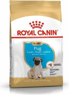Image du produit Royal Canin Mops Junior (Junior, 1 pcs, 1500 g)
