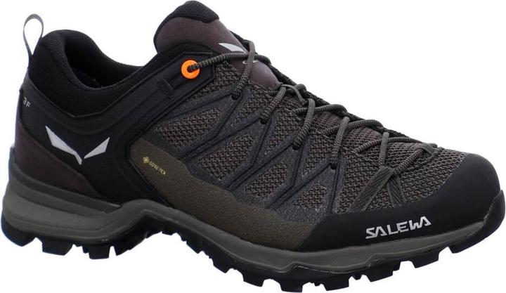 Produktbild Salewa Mountain Trainer Lite GORE-TEX (41)