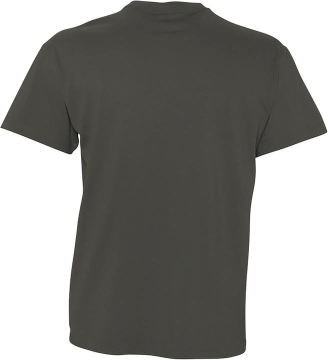 Actual product image Sols Victory T-shirt V-neck short sleeve (S)