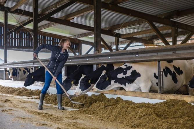 Productafbeelding Kerbl Professionele aluminium schep maat 9 met rand