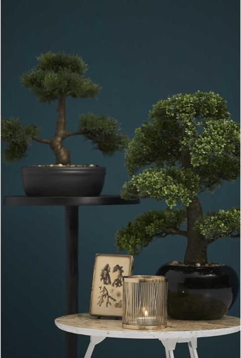 Image du produit Emerald Allan (47 cm)
